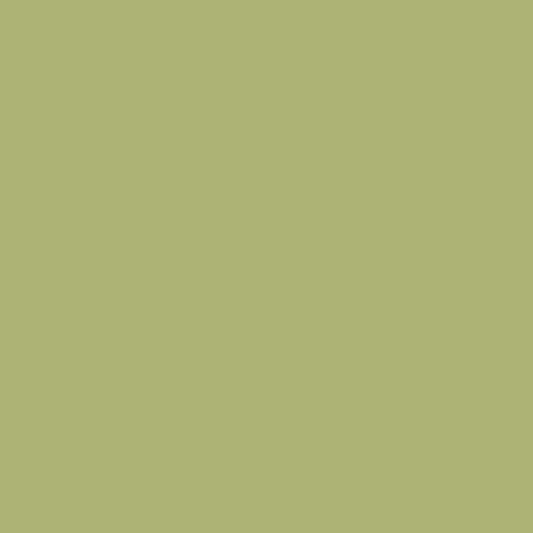 Sage by Laundry Basket Quilt Century Solids by Andover Fabrics