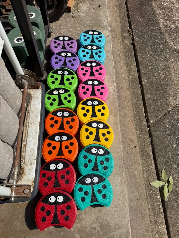 Ladybug Paver